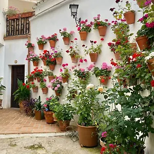 Apartment Amal Casa De Huespedes, Córdoba