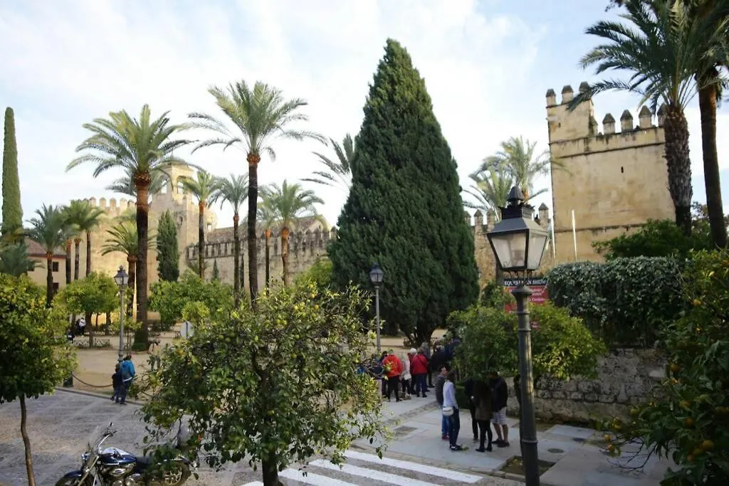 Apartment Calle San Basilio - Patios. Aparcamiento Gratis Cordoba
