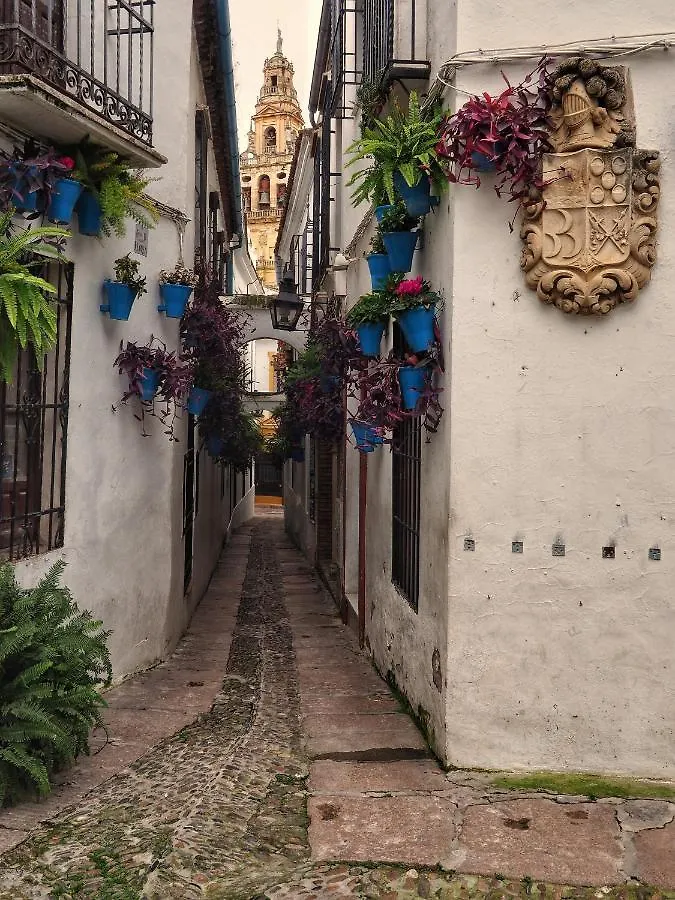 Calle San Basilio - Patios. Aparcamiento gratis Córdoba